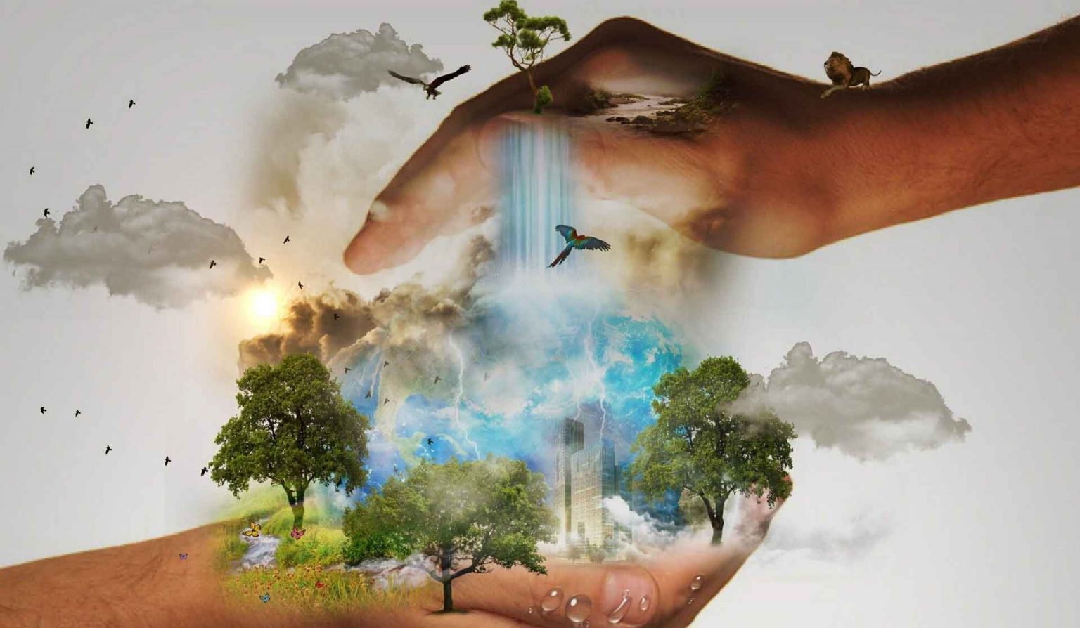 Cuidar la tierra es responsabilidad de todos los que la habitamos – Tu